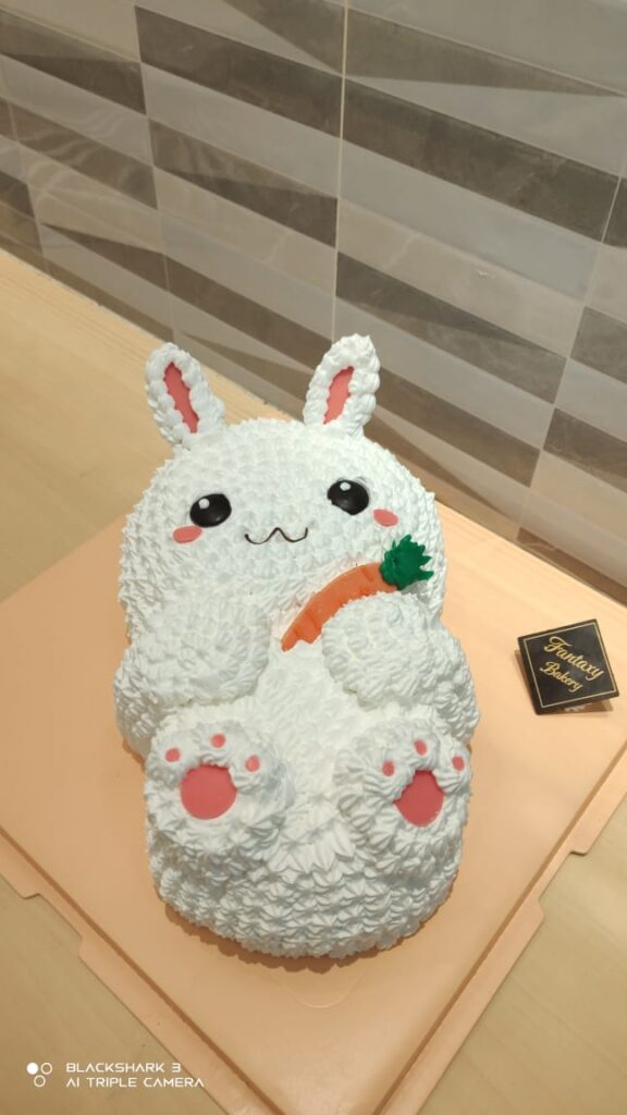 Rabbit Customize Cake No.1